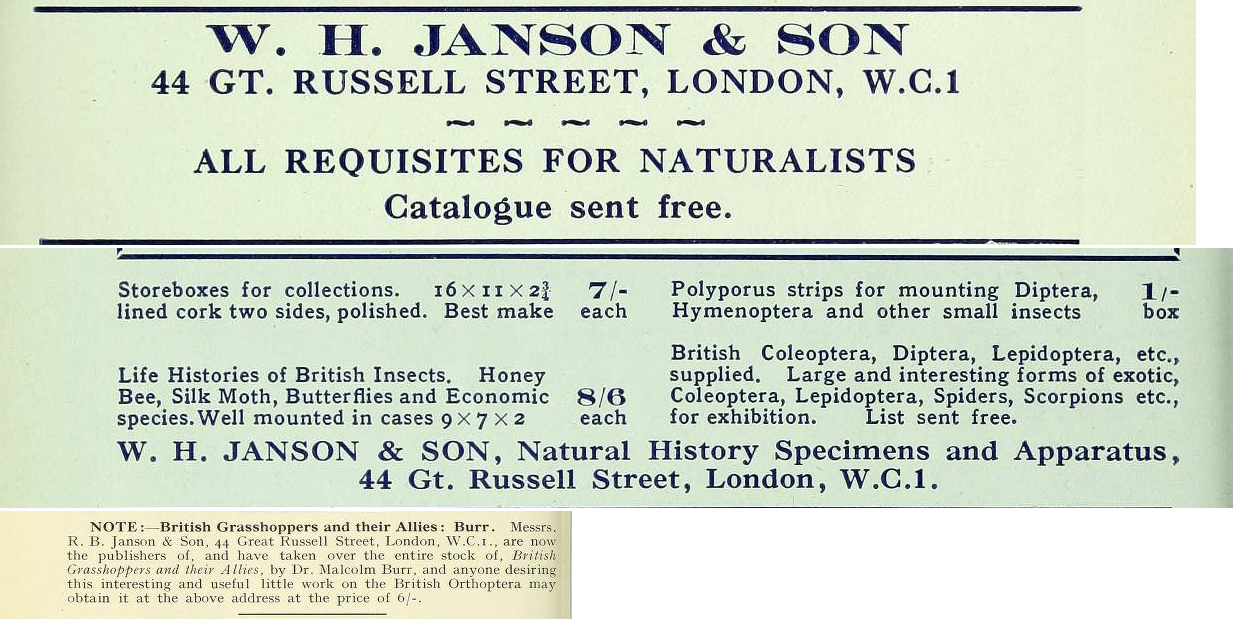 Janson and son advert 9