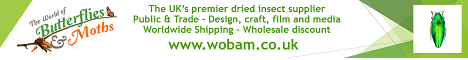 wobam_banner.png