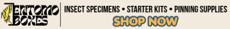 banner-entomoboxes-cs.gif