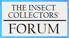 The_Insect_Collectors_Forum.png