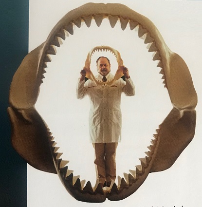 megalodon jaw