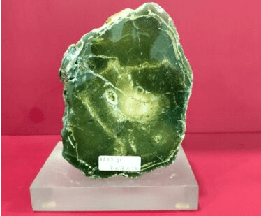 green-petrified-tree.png