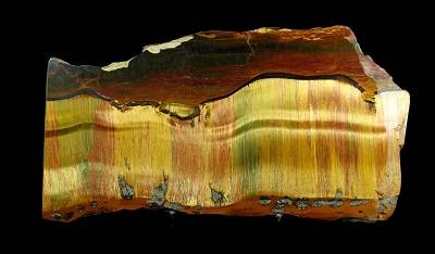 stromatolite-usa.jpg