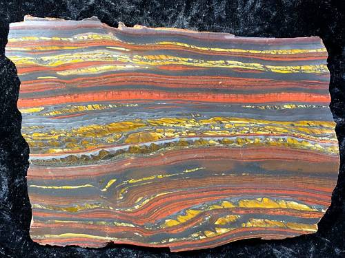 polished stromatolite